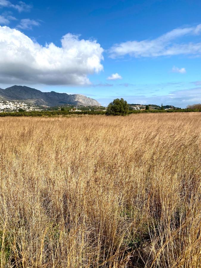 Olivae Xalet Βίλα Benidoleig Εξωτερικό φωτογραφία