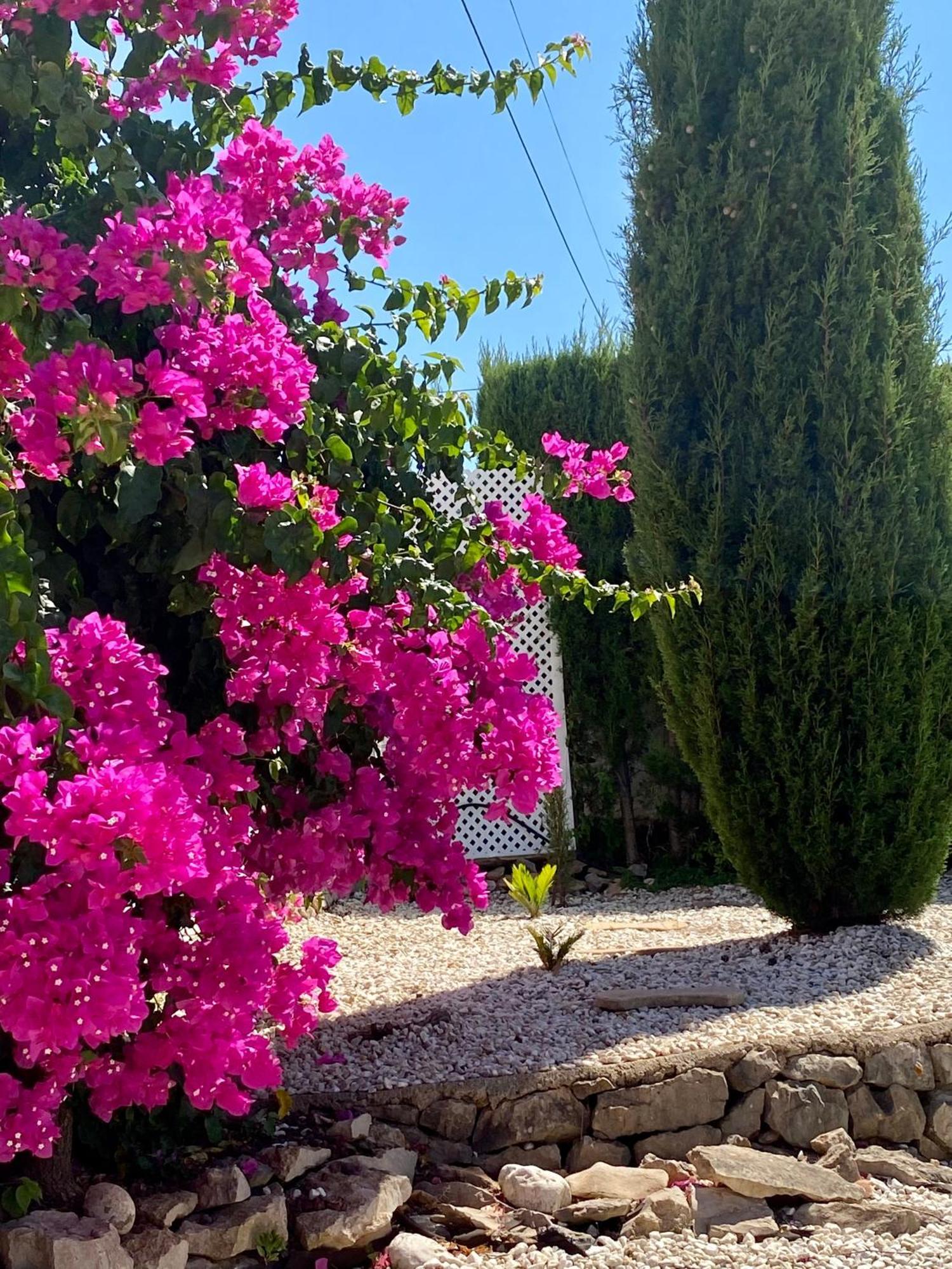 Olivae Xalet Βίλα Benidoleig Εξωτερικό φωτογραφία